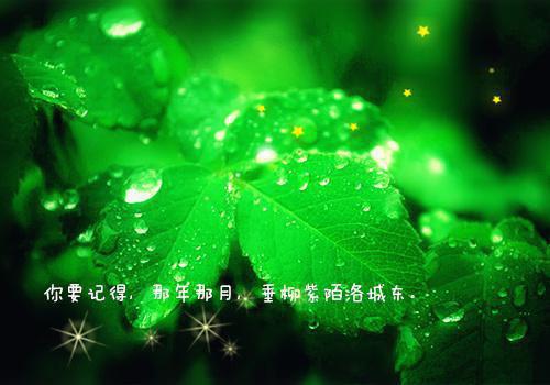 宋芸桑满全文免费阅读（弟妹拼命要生龙崽小说）全文在线宋芸桑满读无弹窗大结局_(宋芸桑满弟妹拼命要生龙崽小说小说在线宋芸桑满读)最新章节列表（宋芸桑满）