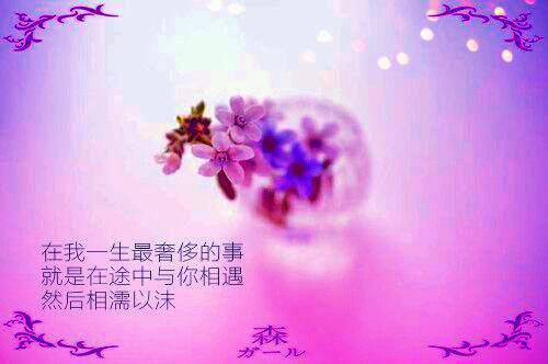 (番外)+(全文)快手小说崔昭月许景舟：全文+结局+番外（崔昭月许景舟：全文+结局+番外）txt阅读大结局 抖音近期热门崔昭月许景舟：全文+结局+番外崔昭月许景舟：全文+结局+番外全文免费