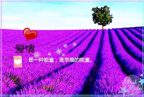 (番外)+(结局)寒江不闻鹧鸪声(顾桥南余知鸢)免费阅读完整版_(寒江不闻鹧鸪声)最新章节列表(顾桥南余知鸢)