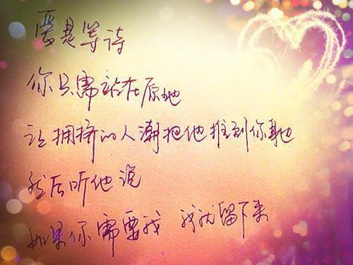 江湖猫猫传全文txt免费阅读第5章