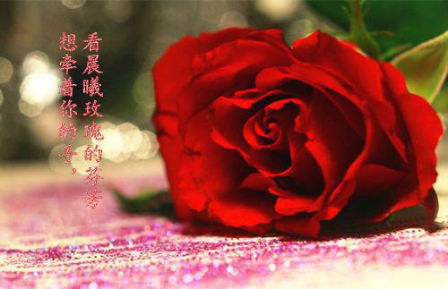 太子退婚后全文免费阅读（凤翎苍濯）全文免费凤翎苍濯读无弹窗大结局_(凤翎苍濯)太子退婚后免费凤翎苍濯读无弹窗最新章节列表（凤翎苍濯）