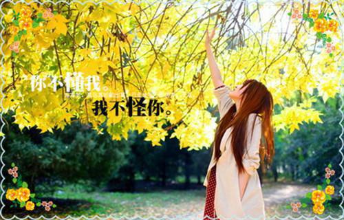 璟上添花时添添谢承璟最新章节精彩试读