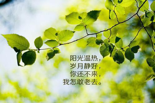 这辈子，我本来就没想嫁给他了免费(宋秋秋)全文免费阅读_宋秋秋这辈子，我本来就没想嫁给他了免费全文阅读这辈子，我本来就没想嫁给他了免费