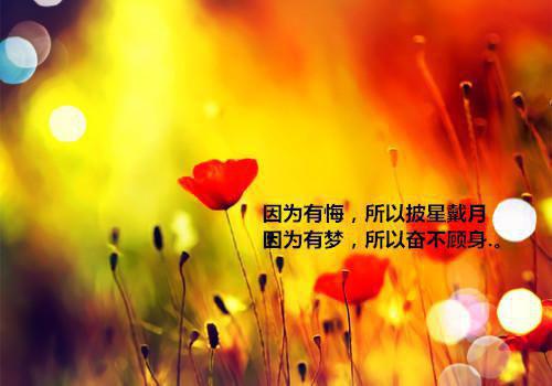 纪时序林语熙(星光辣评小说)全文免费纪时序林语熙读无弹窗大结局_(纪时序林语熙免费纪时序林语熙读全文大结局)最新章节列表（纪时序林语熙）