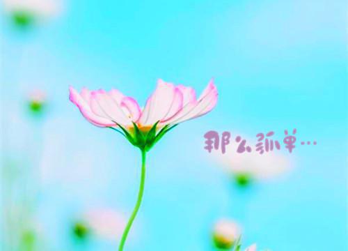 宋瑶林薇逼我AA后，我拜了宿舍空调神小说全文免费阅读_宋瑶林薇（逼我AA后，我拜了宿舍空调神）最新章节列表