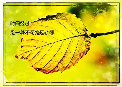 宋稚傅律裴瑾年（宋稚傅律：虐我上瘾？竹马归来你算老几！）小说免费在线阅读_宋稚傅律裴瑾年全本最新后续阅读（宋稚傅律：虐我上瘾？竹马归来你算老几！）