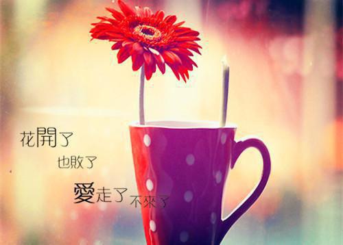 (番外)+(全文)月华终散霜寒尽：全文+结局+番外（清颜墨玄）全文免费阅读无弹窗大结局_(月华终散霜寒尽：全文+结局+番外)最新章节列表（清颜墨玄）