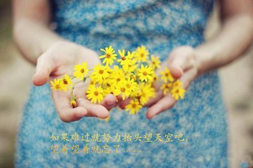 半糖假死小说(陈淮安宋宋）小说全文免费阅读无弹窗大结局_（半糖假死小说）陈淮安宋宋小说全文免费阅读最新章节列表（半糖假死小说）