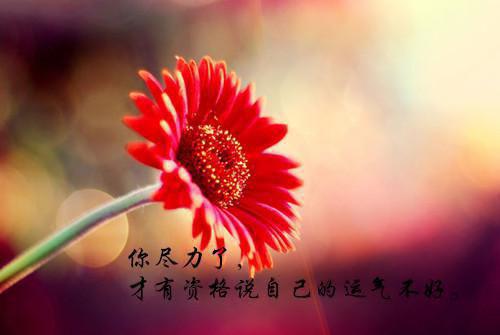 叶清安简然全文免费阅读（金水狮子）全文免费叶清安简然读无弹窗大结局_(金水狮子免费叶清安简然读全文大结局)最新章节列表（叶清安简然）