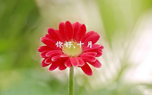 寒来暑往将你遗忘精编之作（姜舒意顾知凛）全文免费阅读_寒来暑往将你遗忘精编之作（姜舒意顾知凛）最新章节列表寒来暑往将你遗忘精编之作