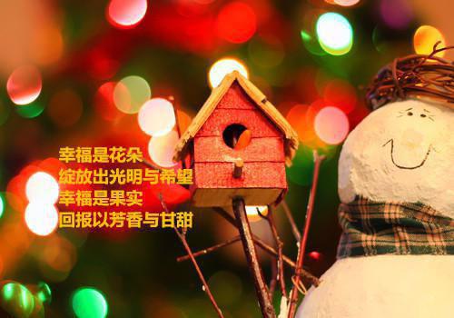 木萦小说《花开等爱你却不来》最新章节更新全文免费阅读
