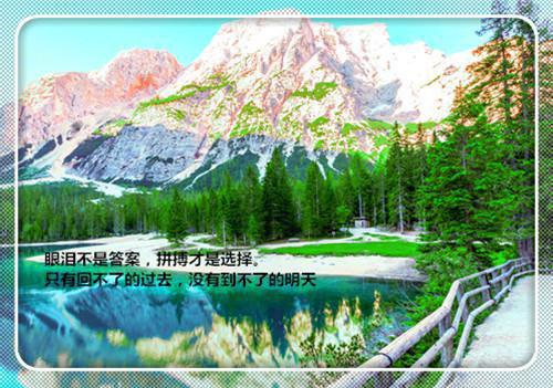 沈君泽周琳琳我死后，高冷女总裁她后悔了小说全章节阅读