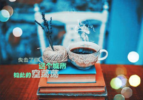 秦想浓陆则深完整版小说_秦想浓陆则深全文免费阅读