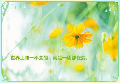 星光胡说全文免费余烬苏燃读无弹窗大结局_（余烬苏燃星光胡说小说）星光胡说最新章节列表（余烬苏燃）