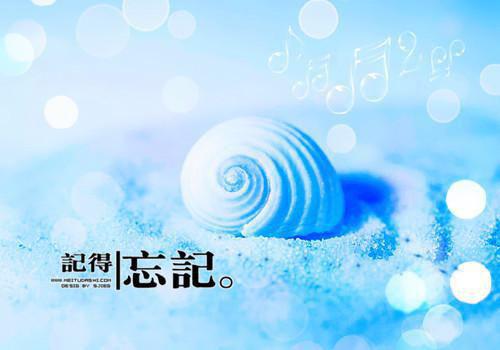 2024新上热文福宝妹妹小说在线琳琳读 福宝妹妹小说叫琳琳的小说（福宝妹妹小说）完整版免费琳琳读全文