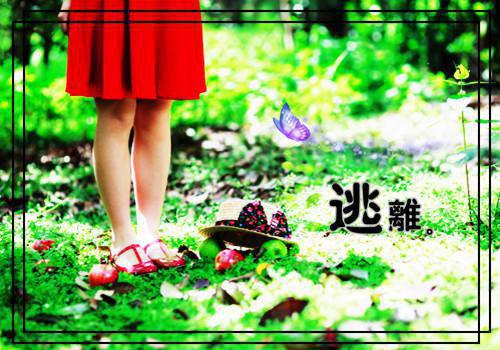 (番外)+(结局)颜以溪贺宴辞（且停且忘且随风番外：结局+番外）全文免费阅读无弹窗大结局_(颜以溪贺宴辞)最新章节列表（且停且忘且随风番外：结局+番外）