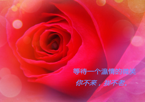 (一场大梦一场空万阅：全文+后续)经典书荒必读(纪黛宁傅谨怀)全文免费阅读无弹窗大结局_一场大梦一场空万阅：全文+后续最新章节列表纪黛宁傅谨怀
