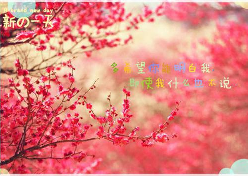 《幻想神话》免费完整版在线阅读第10章