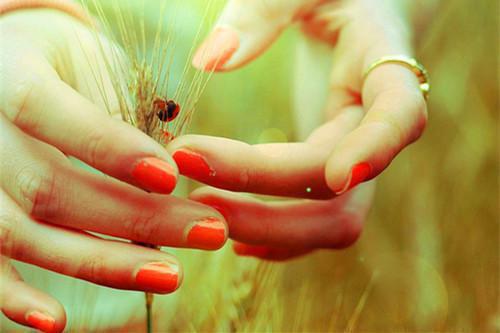 全本闻夏裴叙白:+后续+结局:结局+番外(裴叙白闻夏)最新章节列表_全闻夏裴叙白:+后续+结局:结局+番外全文阅读