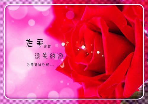 (番外)+(全文)谢知唯沈钰：结局+番外（谢知唯沈钰）全文免费阅读无弹窗大结局_（谢知唯沈钰：结局+番外免费阅读全文大结局）最新章节列表（谢知唯沈钰：结局+番外）