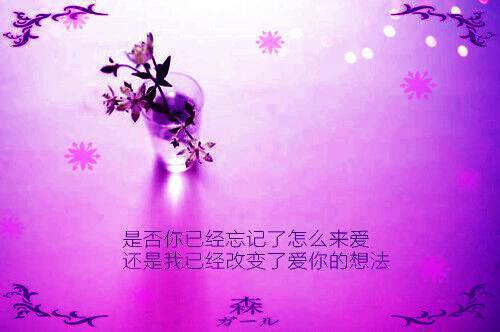 裴澈时知雨全文免费阅读（绿河八卦小说）全文免费裴澈时知雨读无弹窗大结局_裴澈时知雨全文免费裴澈时知雨读（绿河八卦小说）最新章节列表（裴澈时知雨）