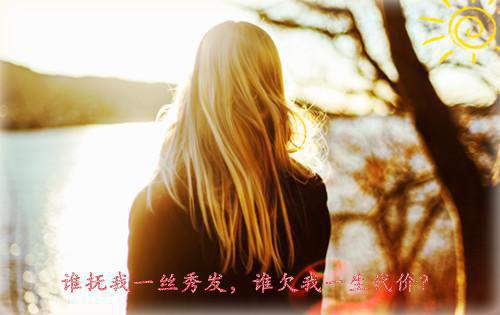 公主上位沈蓁卫寂最新章节精彩试读