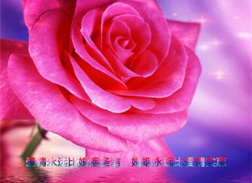 全文免费梁兮季迟沈厘陆沉读无弹窗大结局_ 星圈赎金,热情大狗小说免费梁兮季迟沈厘陆沉读最新章节列表（梁兮季迟沈厘陆沉）