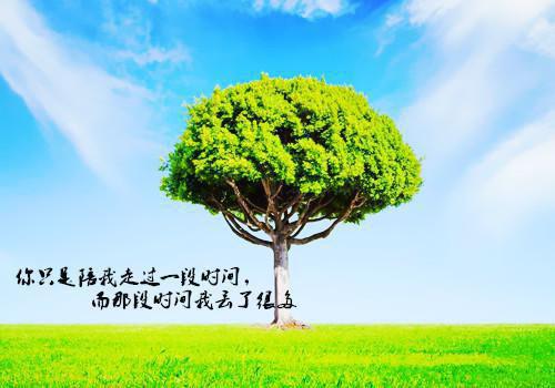 苏清瑜陆辞澜全文+番外+大结局（今天开始心动吧：结局+番外）免费在线阅读_苏清瑜陆辞澜（今天开始心动吧：结局+番外）全文免费阅读无弹窗大结局