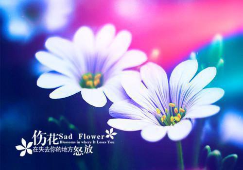 小说替妹复仇后疯批男他爱上我了第21章精选阅读