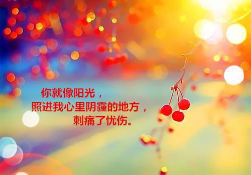 恶人笔录张野全文在线张野读无弹窗大结局_（张野恶人笔录小说）张野最新章节列表（张野）