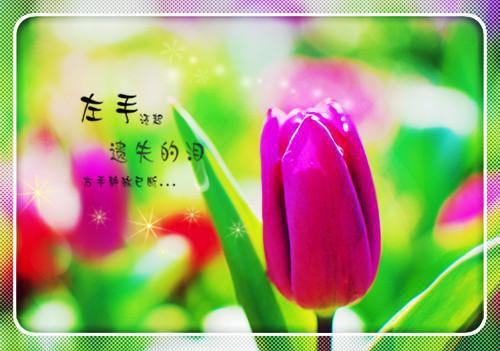 10亿跟亲妈，你选哪个全文免费阅读(曾可涵季庭轩曾可滢)全文免费曾可涵季庭轩曾可滢读无弹窗大结局_ 曾可涵季庭轩曾可滢免费曾可涵季庭轩曾可滢读最新章节列表（10亿跟亲妈，你选哪个）