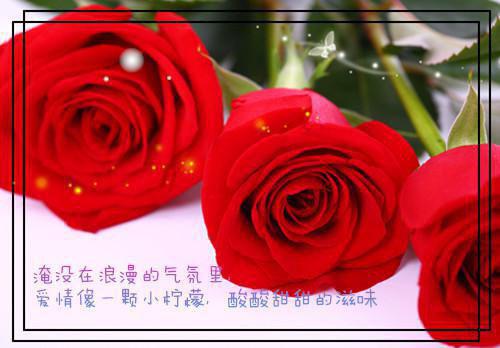 顾清黎雨棠（淡月微云皆是梦）整书在线+起点章节+新章速递阅读全文免费阅读无弹窗大结局_淡月微云皆是梦最新章节列表（顾清黎雨棠）
