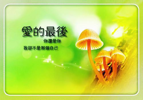 月子里，婆婆只给我吃萝卜白菜小说(王孟娥李哲赵凤兰）小说全文免费阅读无弹窗大结局_（月子里，婆婆只给我吃萝卜白菜小说）王孟娥李哲赵凤兰小说全文免费阅读最新章节列表（月子里，婆婆只给我吃萝卜白菜小说）