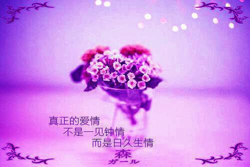 (番外)+(全文)一枕清梦付东河江彦辰宋凝霜 彩蛋+外篇(江彦辰宋凝霜)清爽版阅读江彦辰宋凝霜小说免费下载阅读_(一枕清梦付东河：结局+番外)江彦辰宋凝霜最新章节列表（一枕清梦付东河：结局+番外）