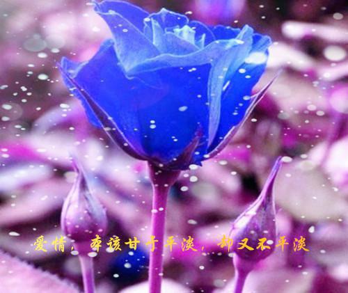 (番外)+(全文)分手后我的遗书让全场痛哭(许悦顾裴司)全文免费阅读无弹窗大结局_(分手后我的遗书让全场痛哭)最新章节列表(许悦顾裴司)