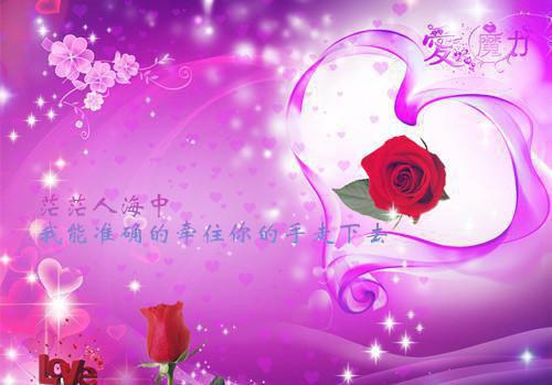 江穗晚谢宴臣小说彩蛋(浮生未白首)附加+结局(江穗晚谢宴臣)全本完整速览阅读