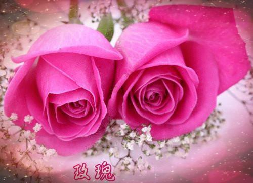 孟呈褚秦桑完结版（秦桑孟呈褚：结局+番外）热门全文小说在线阅读_孟呈褚秦桑最新章节列表（秦桑孟呈褚：结局+番外）