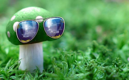 超火小说强烈推荐宋真穆雯雯张强可怖恶鬼小说2023年_宋真穆雯雯张强可怖恶鬼小说完整宋真穆雯雯张强读